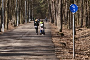 „Via Lietuva“ iki kitų metų rudens planuoja atnaujinti ir sutvarkyti daugiau nei 20 kilometrų takų