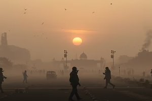 Protestuotojai Delyje reikalauja imtis veiksmų prieš oro taršą