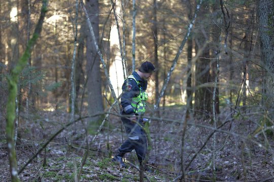 Pakruojo rajone pavogtas automobilis „Kia Sportage“ rastas miške