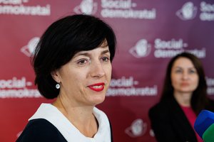 Nesupranta, kodėl buvo delsiama teikti V. Aleknavičienės kandidatūrą į kultūros ministrus: prarasti du mėnesiai