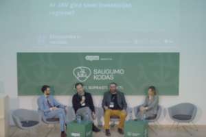 Dėl JAV investicijų gynimo regione siūlo pradėti nuo savęs: siunčiame dviprasmiškus signalus