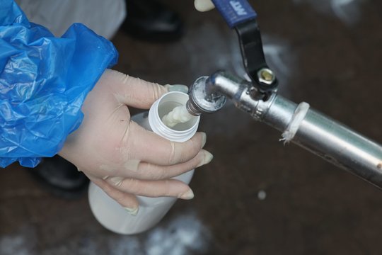 Skelbia, kiek šiemet išaugo natūralaus pieno supirkimo kaina 