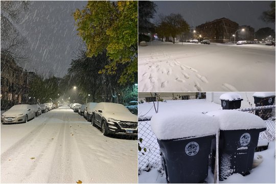 „Ežero efektas“ visa jėga smogė Čikagai: per naktį miestą užklojo sniegas, atšaukta šimtai skrydžių