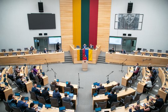 Seimas yra už tai, kad komitetuose dirbtų daugiau parlamentarų