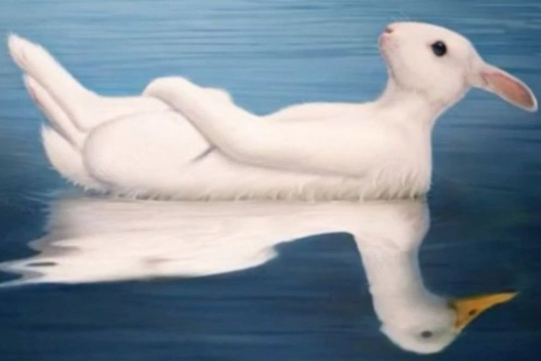 Ką išvydote pirmiausia? Nustebsite, kiek daug tai pasako apie jus