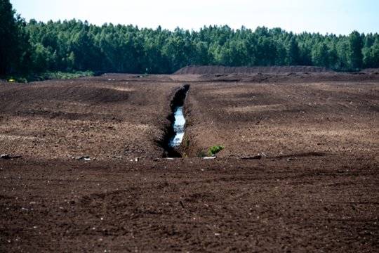 Dirbtinis intelektas padės prognozuoti durpynų drėgmę ir stiprins visą tiekimo grandinę