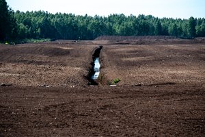 Dirbtinis intelektas padės prognozuoti durpynų drėgmę ir stiprins visą tiekimo grandinę