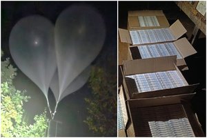 Vyriausybė nusprendė: už kontrabandinius balionus – papildomos bausmės