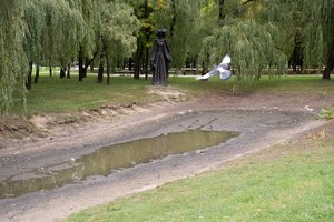 Kaunas netenka vienos mėgstamiausių vietų – gyventojai šokiruoti savivaldybės sprendimo