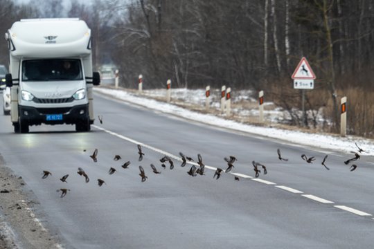 Šią žiemą vairuotojų Lietuvos keliuose laukia reikšminga naujovė: eismo saugumo specialistai turi įspėjimą