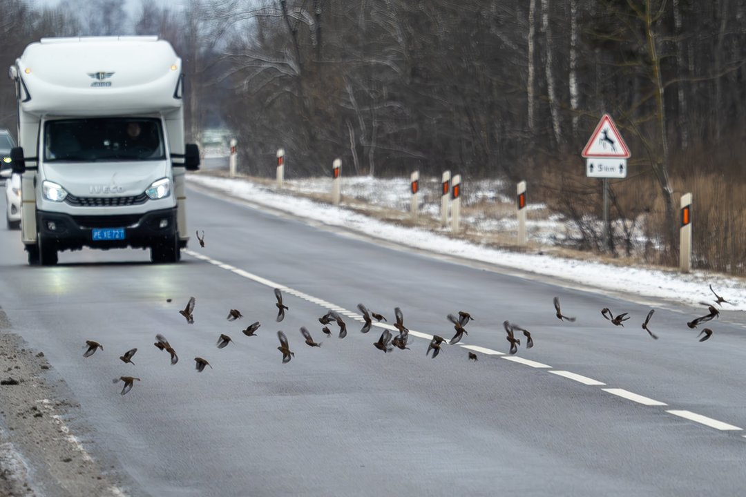 Šią žiemą vairuotojų Lietuvos keliuose laukia reikšminga naujovė: eismo saugumo specialistai turi įspėjimą