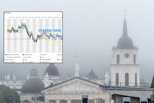Į šalį atkeliauja žiemiški orai: meteorologas įvardino, kuri diena bus šalčiausia