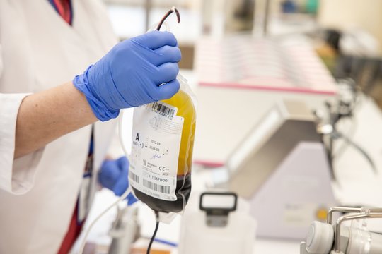 Seimas apsisprendė: pasaulinė kraujo donorų diena tapo valstybės atmintina diena