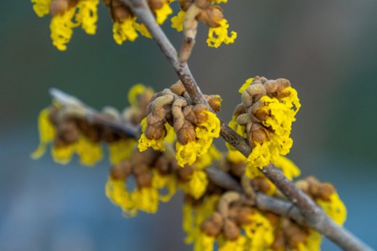 Vardų reikšmės: sausio 19–25 d. varduvininkai