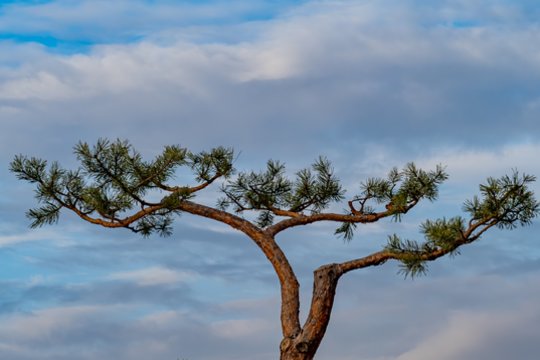 Vardų reikšmės: vasario 16–22 d. varduvininkai