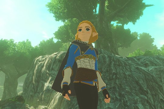 „Hyrule Warriors: Age of Imprisonment“ apžvalga – žaidimas artėjančioms Kalėdoms