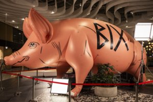 Filmas apie BIX leidžiasi į kelią – nuo Niujorko dangoraižių iki sielos skausmo bedugnių