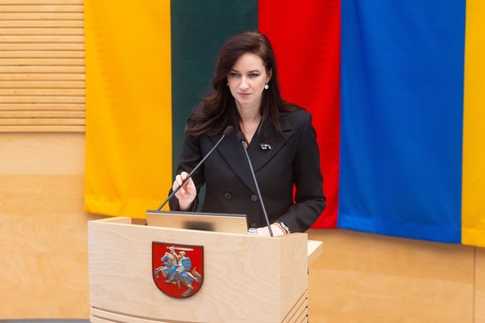 Baltijos šalių gynybos stiprinimą akcentavusi I. Ruginienė: tai svarbus ženklas partneriams