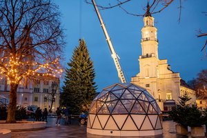 Kaunas jau ruošiasi gražiausioms metų šventėms: Kalėdų eglutė pasiekė Rotušės aikštę
