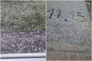 Lietuvoje iškrito pirmasis sniegas