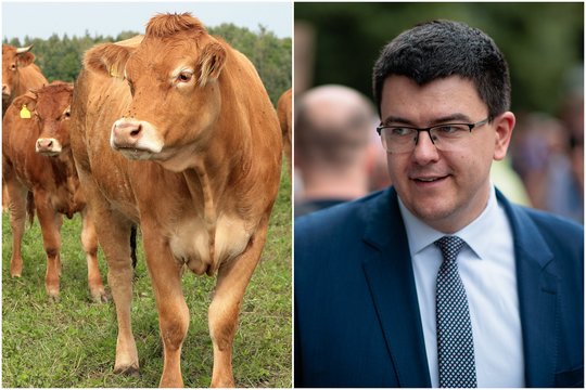 V. Sinica siūlo uždrausti ritualinį gyvūnų skerdimą