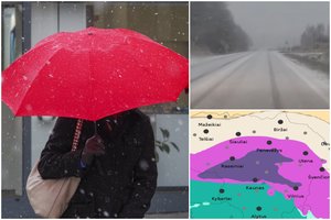 Sinoptikai įspėja: plikledį keis gausi porcija šlapdribos ir nemalonus vėjas