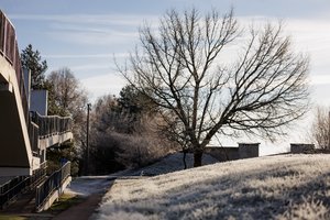 Sekmadienį – žiemiški vaizdai Lietuvoje: viskas sustingo!