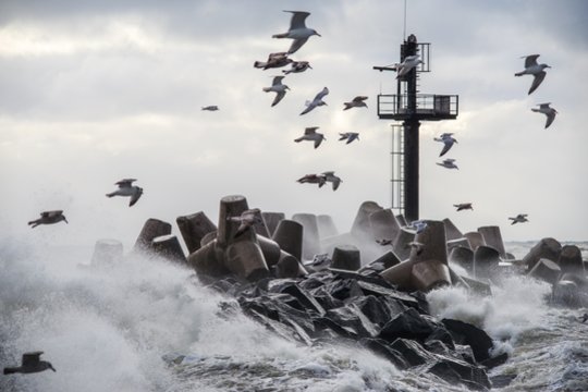 Sinoptikai įspėja apie plikledį, o nuo savaitės vidurio – stiprų, 20 m/s greičio vėją