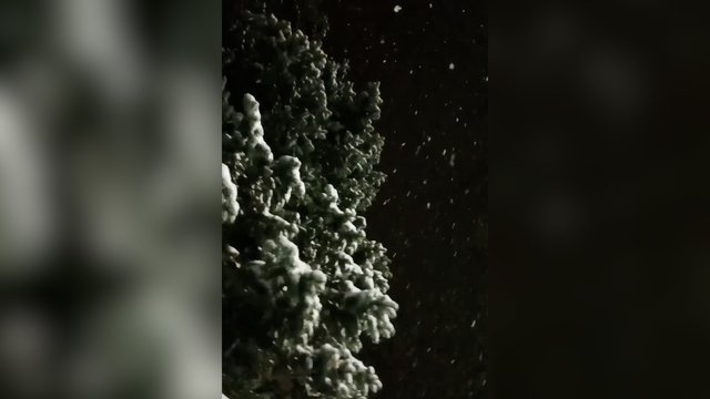 Dalis Lietuvos pasidengė sniego danga: gyventojai suskubo dalintis žiemiškais vaizdais