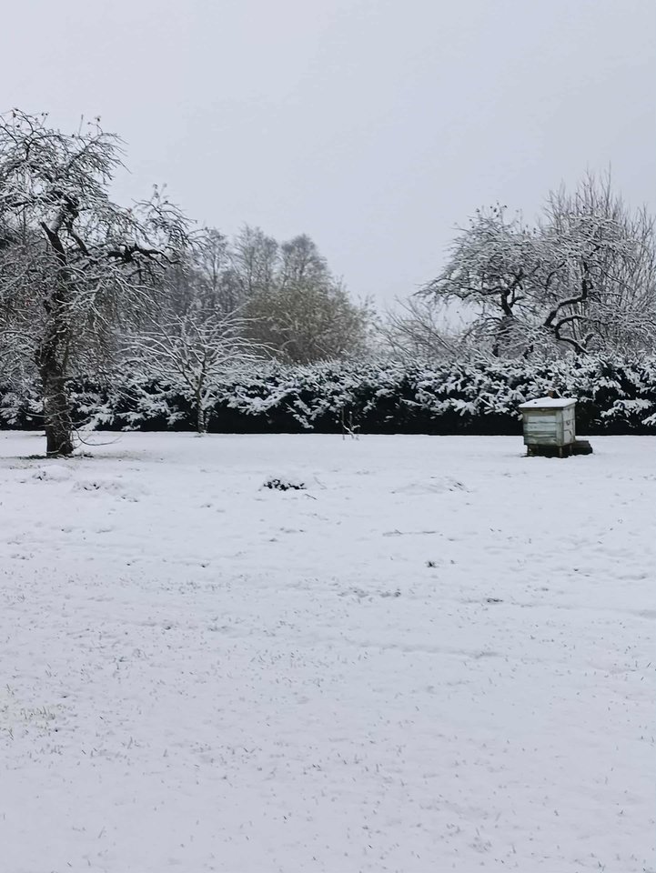 Biržų r., Kvetkai. <br>I.Mikšienės nuotr.