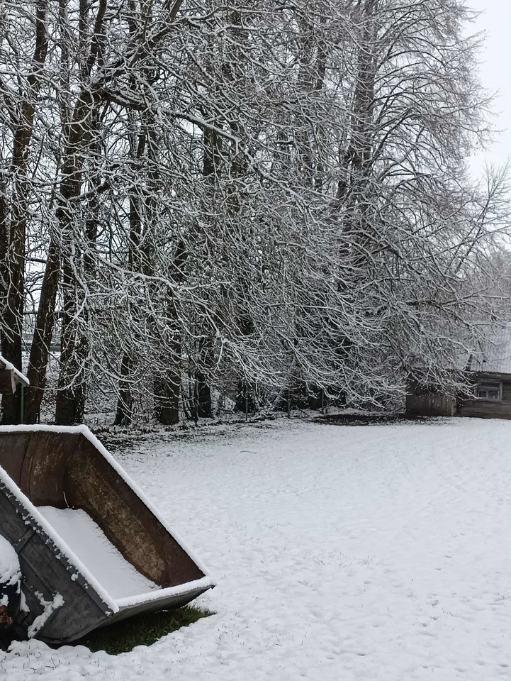 Biržų r., Kvetkai. <br>I.Mikšienės nuotr.