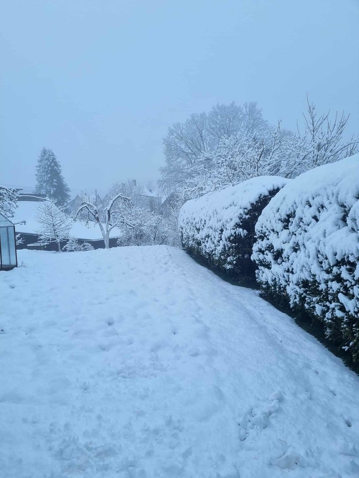 Skaudvilė.<br>D.Liekienės nuotr.