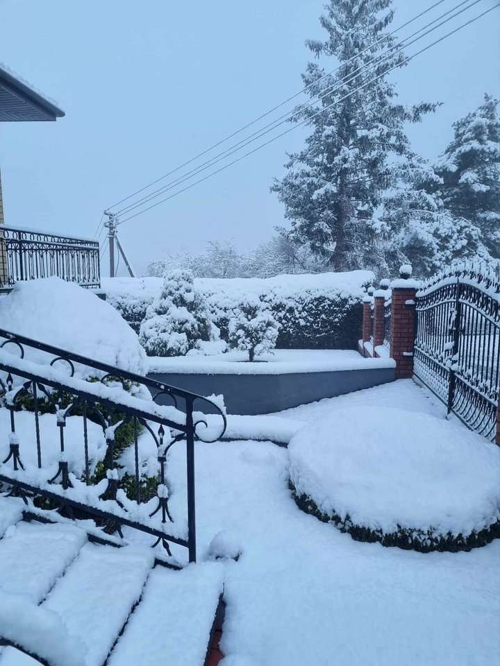 Skaudvilė.<br>D.Liekienės nuotr.