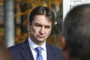 „Ignitis grupės“ vadovas: pirmą jūros vėjo parką vystome pagal nustatytą projekto grafiką