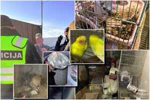 Po ilgai trukusio tarnybų reido – kraupūs vaizdai: konfiskuoti 345 gyvūnai, laikyti kartu su gaišenomis