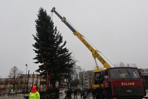 Į Ignaliną atkeliavo šventinė dvasia: pamatykite šių metų žaliaskarę
