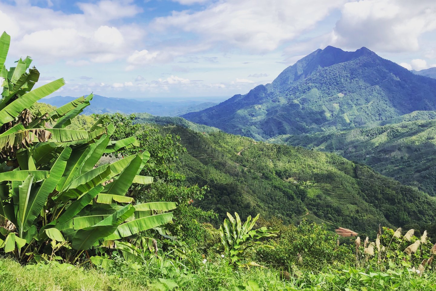 Malaizija. <br>Asm. archyvo nuotr.