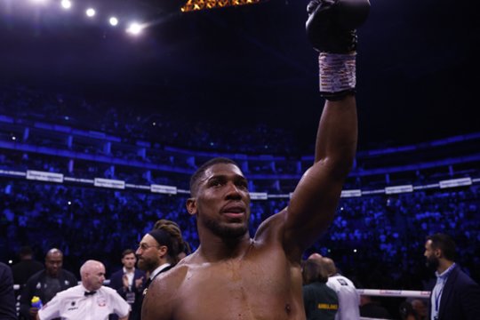 „YouTube“ žvaigždė žengs į ringą prieš A. Joshua