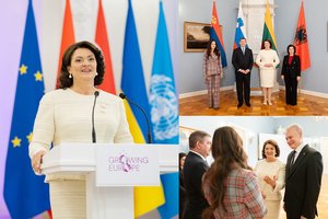 Pirmą kartą Lietuvoje vykusiame aukščiausio lygio susitikime akys krypo į Dianą Nausėdienę