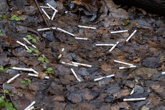 Tabako mafijos verslas: nelegalūs fabrikai, KGB rekomendacijos ir kyšiai po 100 tūkst. eurų