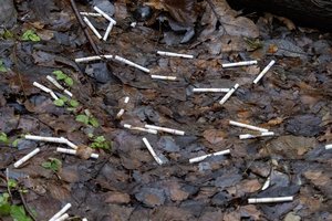 Tabako mafijos verslas: nelegalūs fabrikai, KGB rekomendacijos ir kyšiai po 100 tūkst. eurų