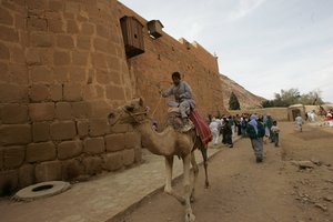 Pričiupo kliniką įsukusią rimtą sukčiavimo schemą Egipte: siuntė sąskaitas be turistų žinios