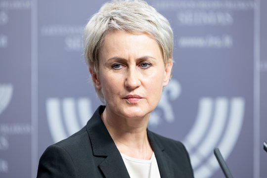 N. Grunskienė apie ikiteisminį tyrimą dėl padegamųjų „DHL“ siuntų: įtarimai pareikšti 16 asmenų