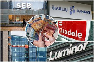 Gynybos fondas kitąmet galiotų ir be bankų solidarumo įnašo