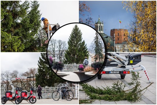 Po nakties Vilniaus centre „išdygo“ žaliaskarė: užfiksavo, kaip vyksta pasiruošimas Kalėdoms