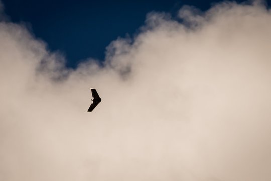 Dronai vėl pažeidė Rumunijos oro erdvę, pakelti naikintuvai