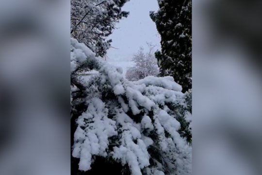 Dalyje Lietuvos tikras viduržiemis: vietomis sniego danga siekia net 8 centimetrus