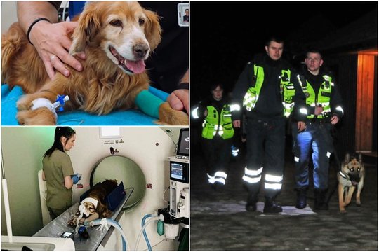 Lietuvą pašiurpinusioje Gauso kankintojos byloje – netikėtas posūkis: staiga pakeitė plokštelę