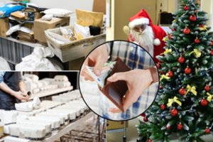 Prieš šventes – darbo pasiūlymų lavina: kai kur atlygis siekia ir kelis tūkstančius eurų