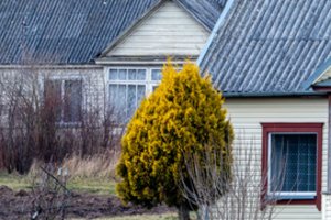 Namų savininkai šios žiemos gali nepamiršti: ką svarbu pasitikrinti jau dabar – kitaip laukia rimtos baudos